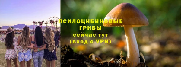 ПСИЛОЦИБИНОВЫЕ ГРИБЫ Абинск
