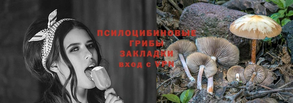 спиды Абдулино