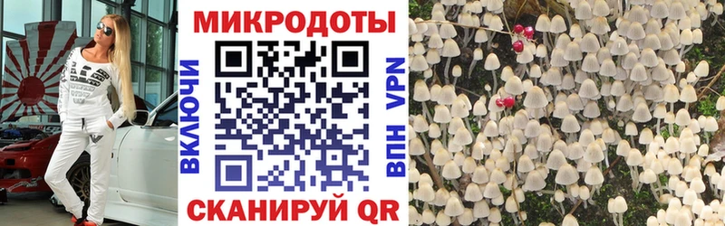 Псилоцибиновые грибы MAGIC MUSHROOMS  сколько стоит  Электросталь 